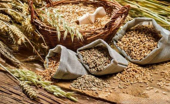 Prețurile la cereale se întorc în zona roșie: presiune pe rapiță, grâu și orz - agroexpert.md