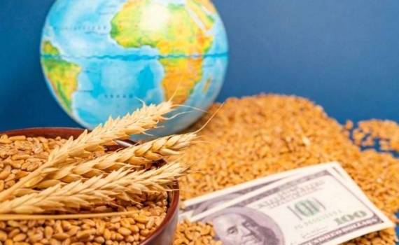 Удары в Черном море могут вызвать нехватку зерна на глобальном уровне - agroexpert.md