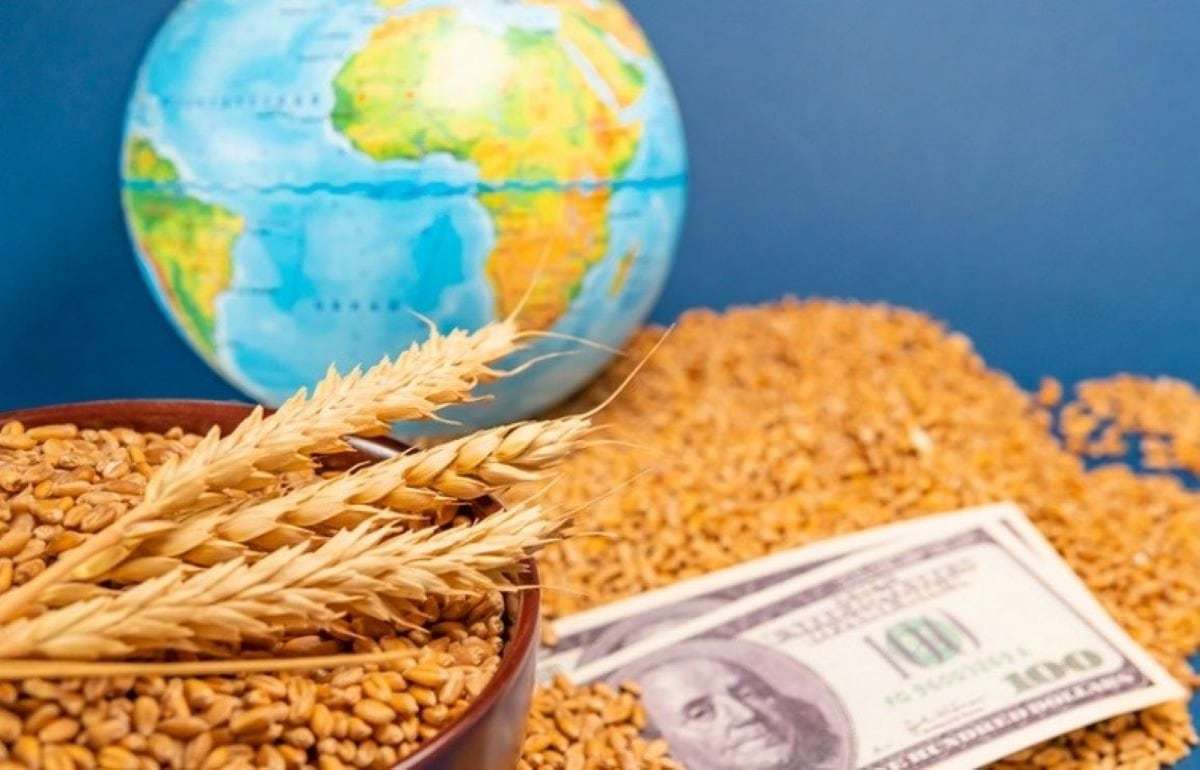 Удары в Черном море могут вызвать нехватку зерна на глобальном уровне - agroexpert.md