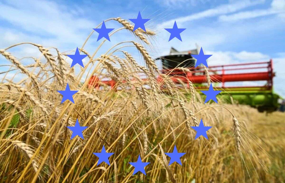 Еврокомиссия ухудшила прогноз урожая агрокультур в ЕС на 2026/27 МГ - agroexpert.md