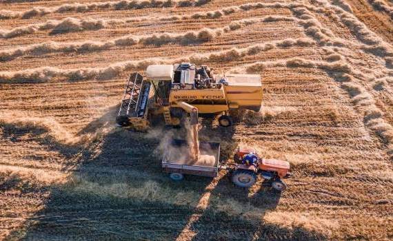700 de afaceri agricole au primit finanțare prin Programul FCA - agroexpert.md