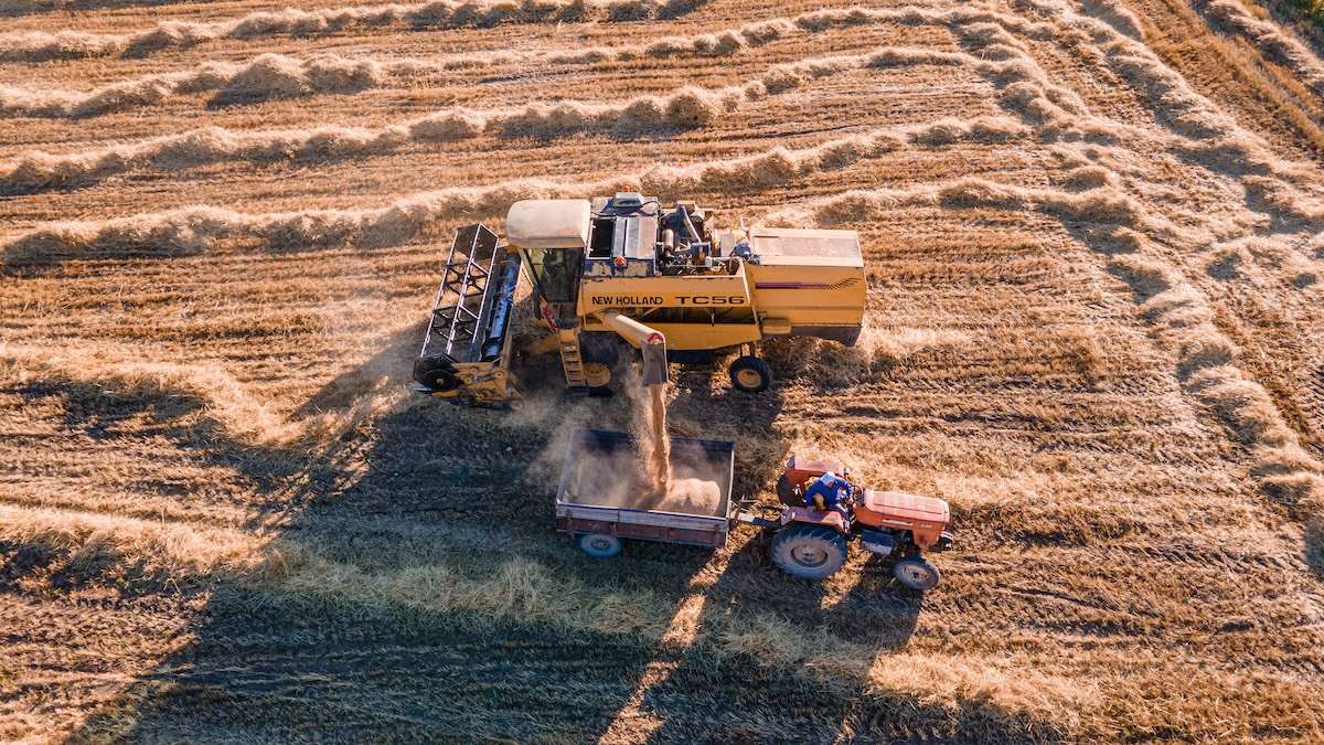 700 de afaceri agricole au primit finanțare prin Programul FCA - agroexpert.md