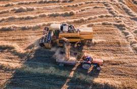 700 de afaceri agricole au primit finanțare prin Programul FCA - agroexpert.md
