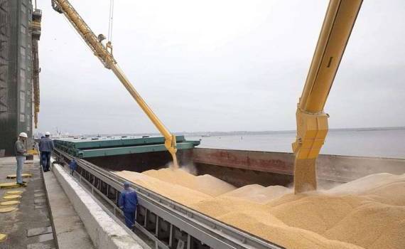 Перевод украинского экспорта зерновых в Констанцу — это плюс 30-40 usd/т - agroexpert.md