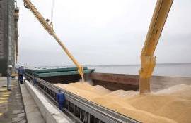 Перевод украинского экспорта зерновых в Констанцу — это плюс 30-40 usd/т - agroexpert.md