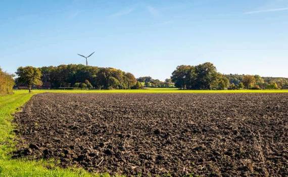 Agricultura conservativă prinde contur în R. Moldova. Ce spun cercetătorii - agroexpert.md