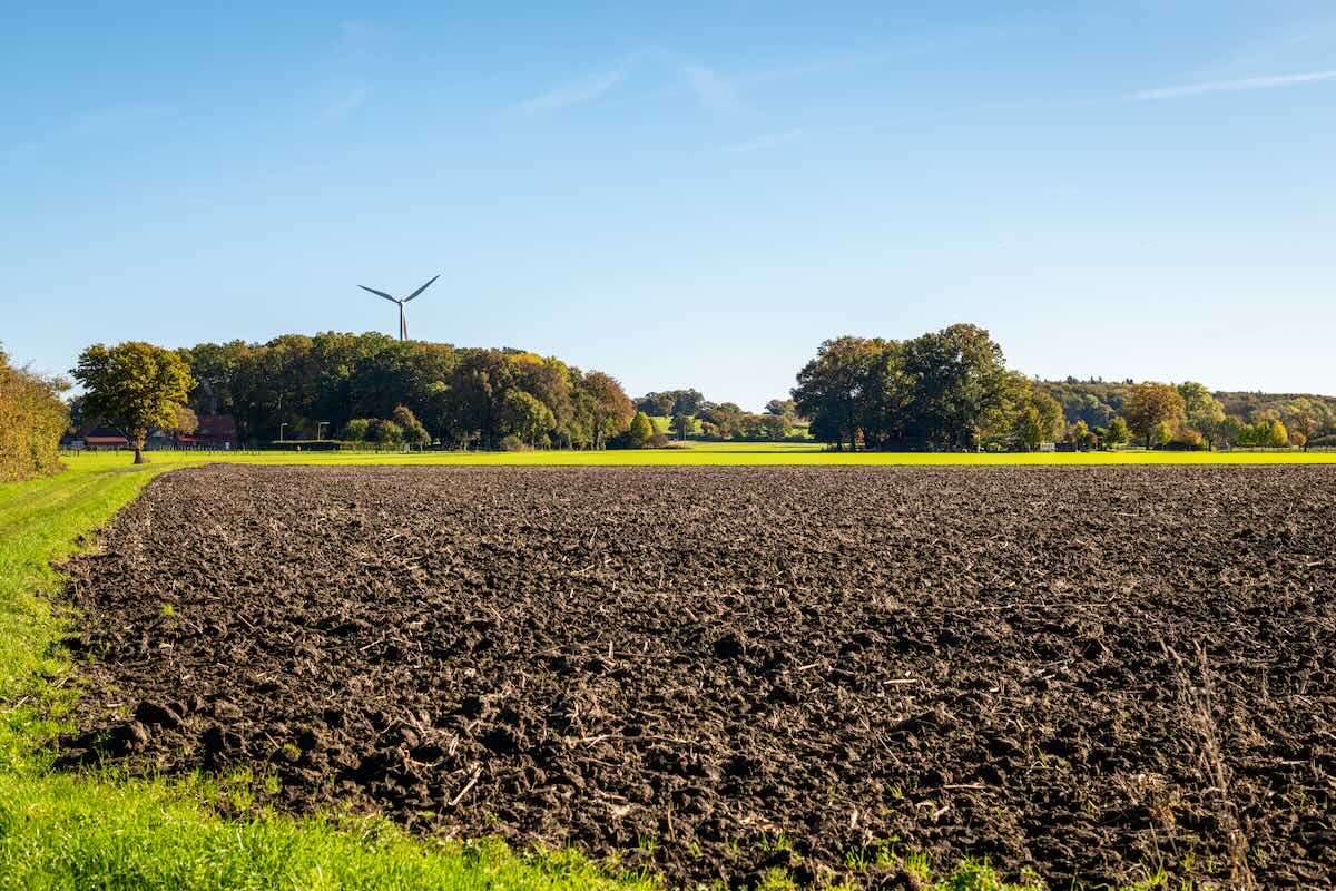 Agricultura conservativă prinde contur în R. Moldova. Ce spun cercetătorii - agroexpert.md