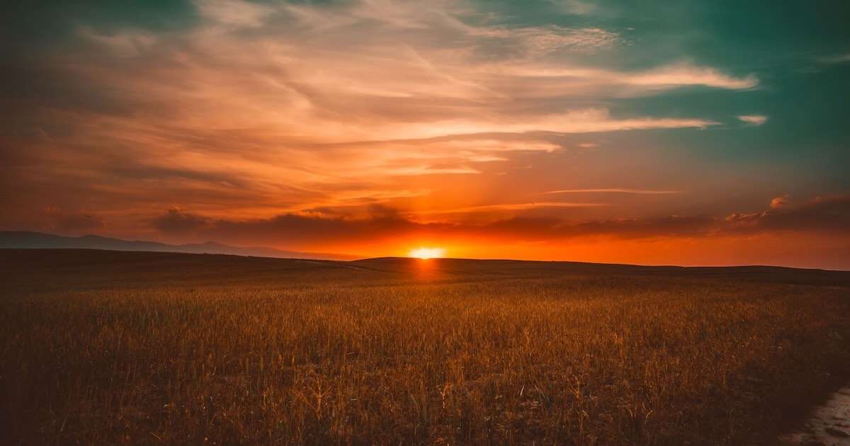 Cod galben și portocaliu de caniculă în Republica Moldova - agroexpert.md
