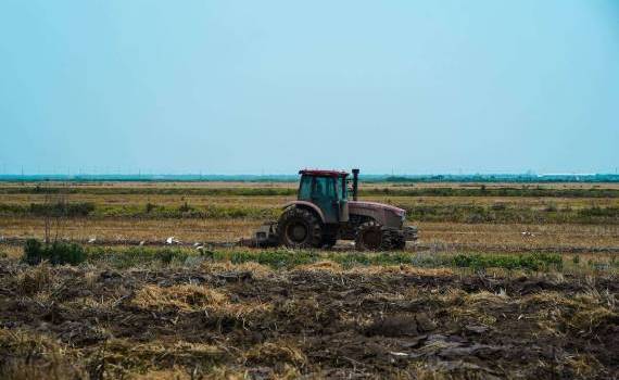 Motorina scumpă reduce competitivitatea fermierilor români - agroexpert.md
