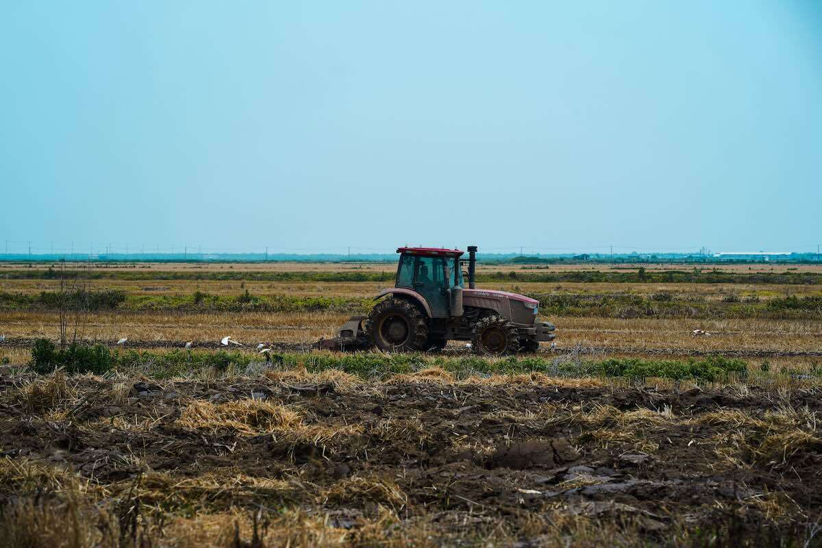 Motorina scumpă reduce competitivitatea fermierilor români - agroexpert.md