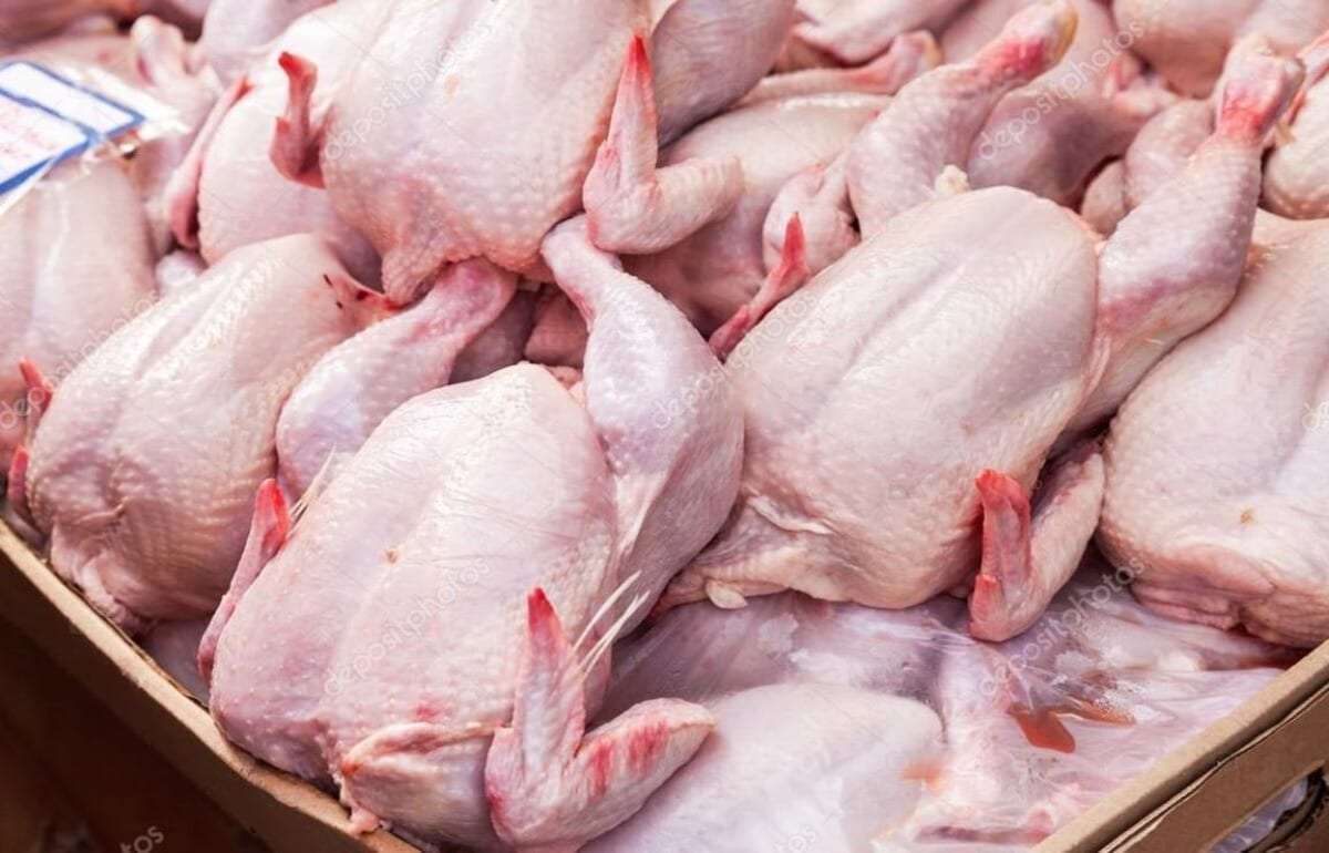 ФАО: потребление курятины на душу населения достигло 17 кг в год - agroexpert.md