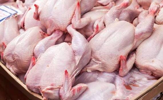ФАО: потребление курятины на душу населения достигло 17 кг в год - agroexpert.md
