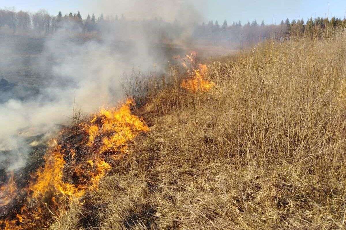 Amenzi de până la 40 de mii de lei pentru incendierea miriștilor - agroexpert.md