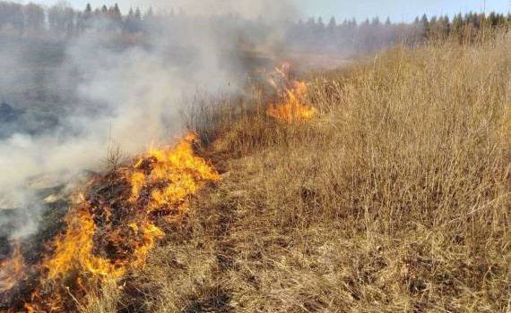 Amenzi de până la 40 de mii de lei pentru incendierea miriștilor - agroexpert.md