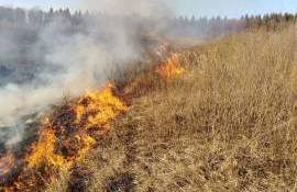 Amenzi de până la 40 de mii de lei pentru incendierea miriștilor - agroexpert.md