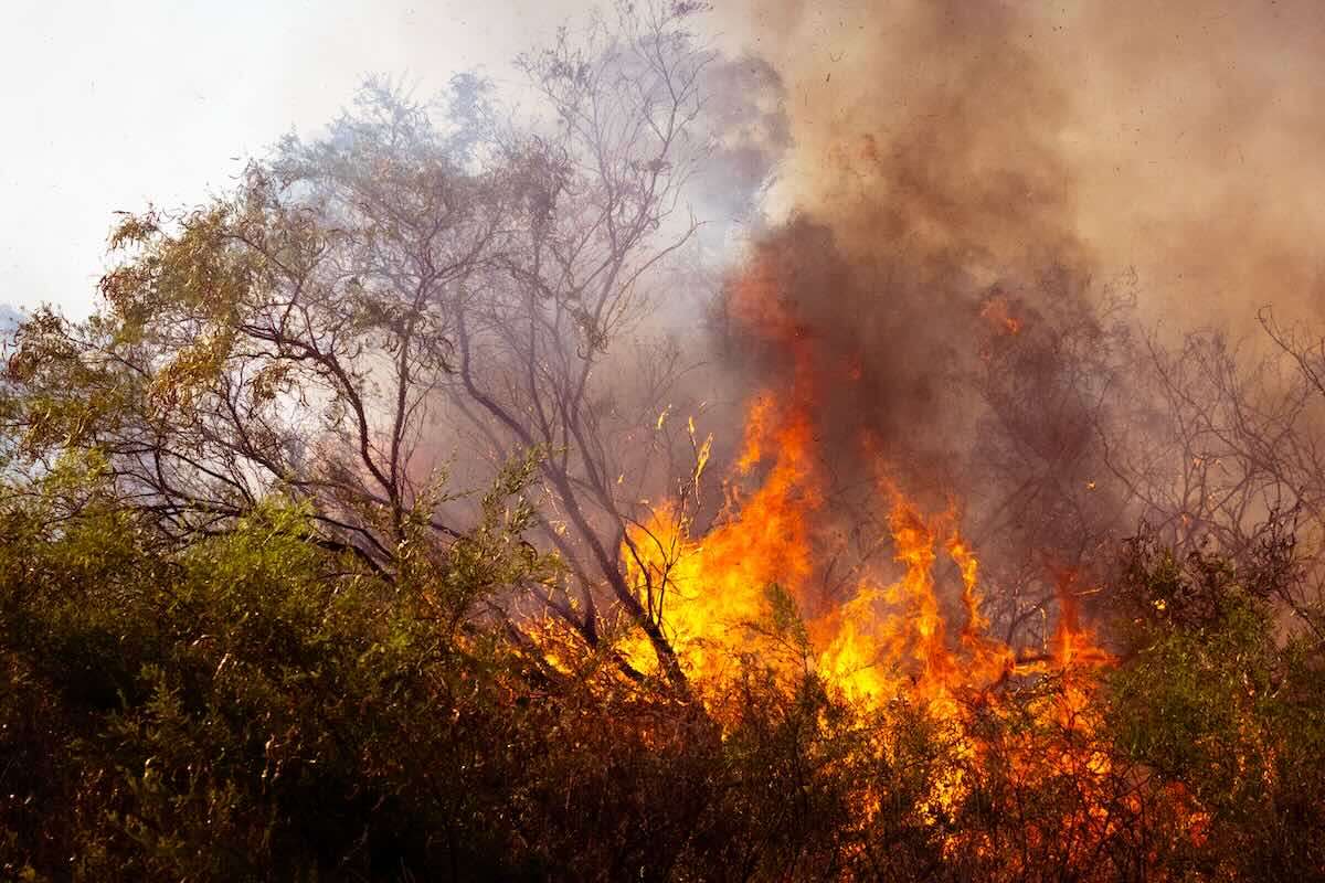 Un bărbat a suferit arsuri grave încercând să stingă un incendiu - agroexpert.md