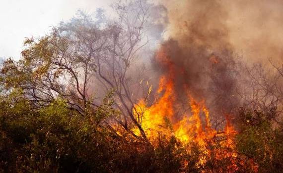 Un bărbat a suferit arsuri grave încercând să stingă un incendiu - agroexpert.md