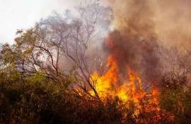 Un bărbat a suferit arsuri grave încercând să stingă un incendiu - agroexpert.md