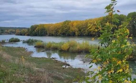 Lacul Novodnistrovsk este pe jumătate gol. Ce spune Ministerul Mediului - agroexpert.md