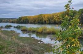 Lacul Novodnistrovsk este pe jumătate gol. Ce spune Ministerul Mediului - agroexpert.md