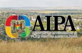 Reacția AIPA după ce un șef de direcție a fost reținut de CNA și PA - agroexpert.md