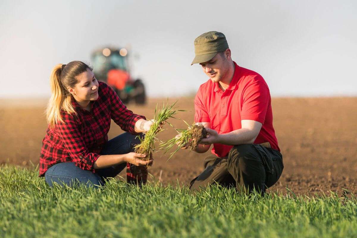grupuri de producători mai sunt active - agroexpert.md