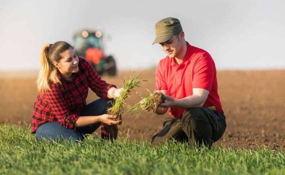 grupuri de producători mai sunt active - agroexpert.md