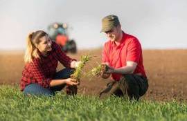 grupuri de producători mai sunt active - agroexpert.md