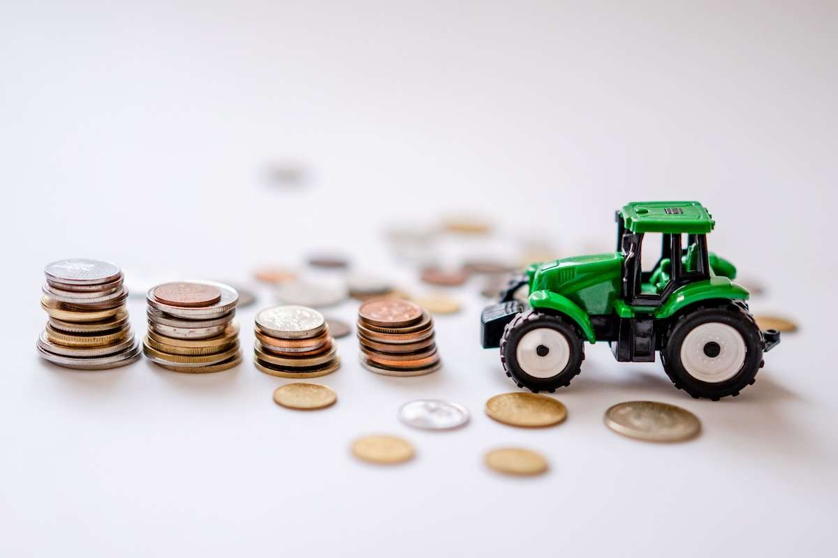 Peste 56 de milioane de lei, aprobate pentru investiții în agricultură - agroexpert.md