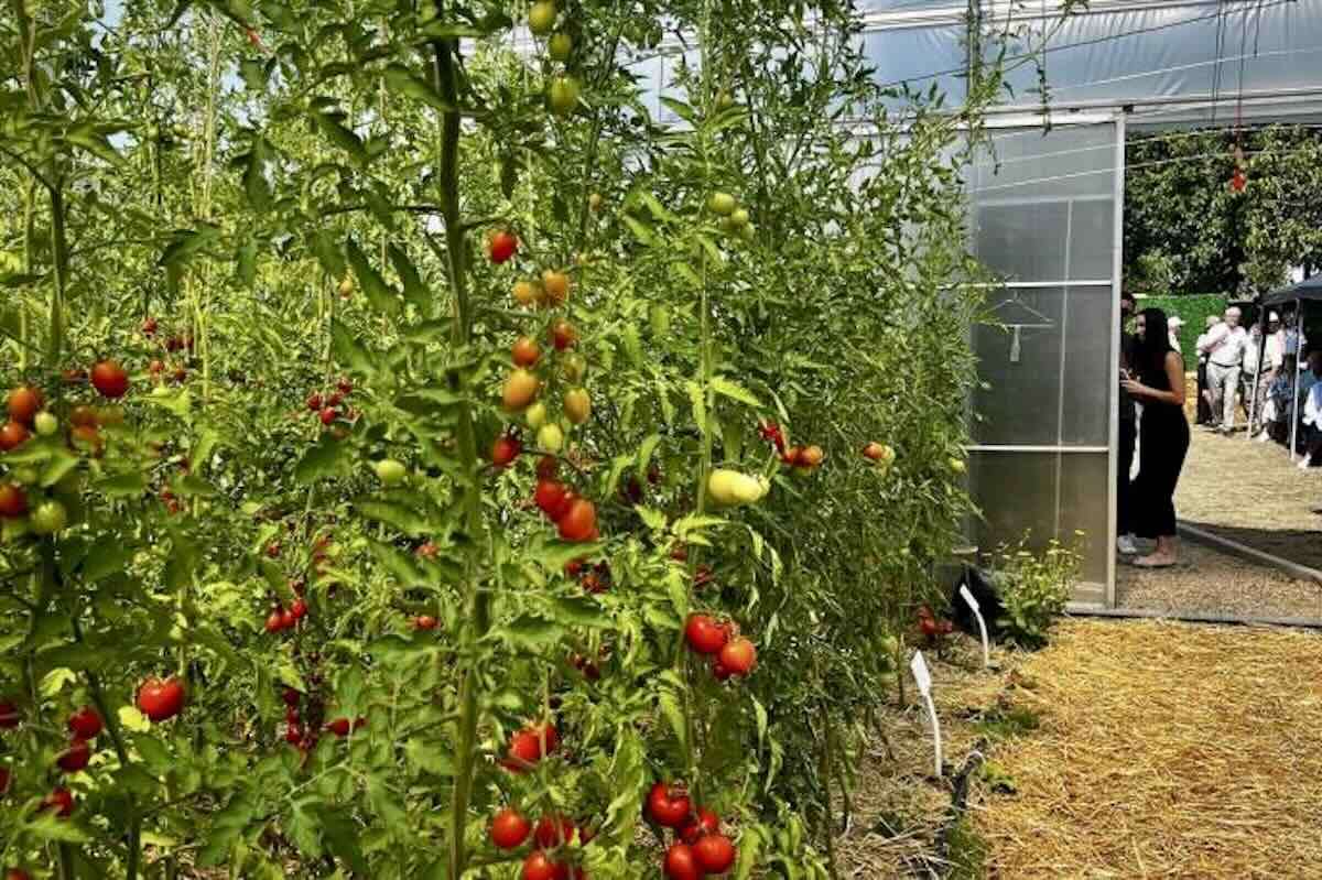 Platformă nouă pentru promovarea agriculturii ecologice în R. Moldova - agroexpert.md