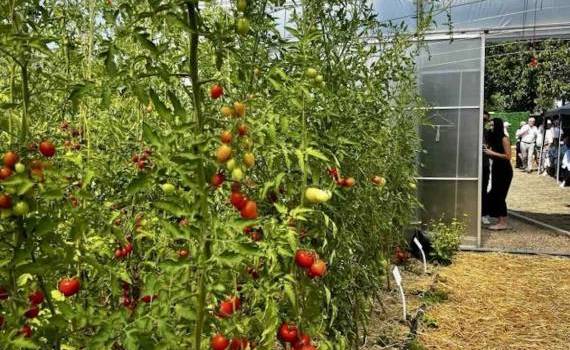 Platformă nouă pentru promovarea agriculturii ecologice în R. Moldova - agroexpert.md