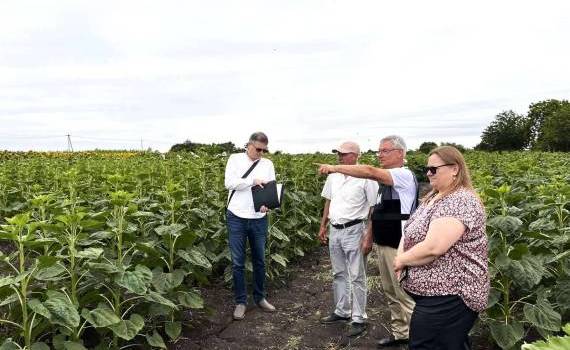 ANSA verifică loturile semincere din țară. Ce suprafețe au fost controlate - agroexpert.md