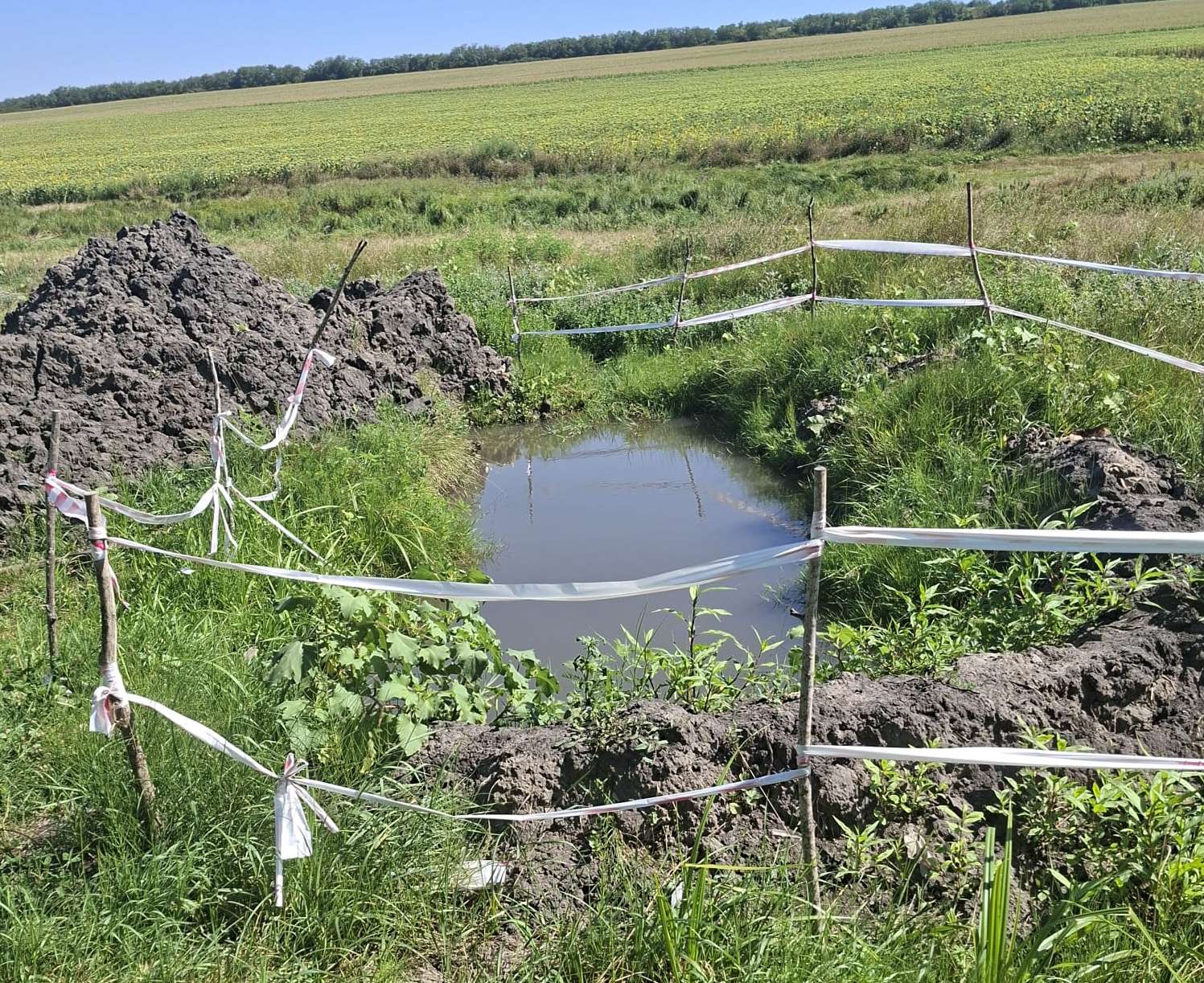 Amenzi de 15 400 de lei pentru încălcări de mediu la Rezina - agroexpert.md