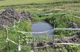 Amenzi de 15 400 de lei pentru încălcări de mediu la Rezina - agroexpert.md