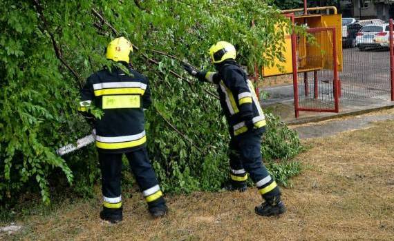 Ploile și vântul puternic au făcut ravagii în nordul și centrul țării - agroexpert.md
