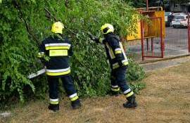 Ploile și vântul puternic au făcut ravagii în nordul și centrul țării - agroexpert.md
