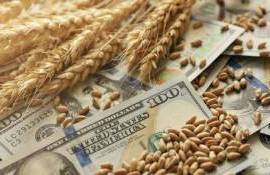 Цены на алжирском тендере по закупке пшеницы выросли - agroexpert.md
