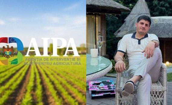 Șeful de direcție de la AIPA, plasat în arest preventiv de 30 de zile - agroexpert.md