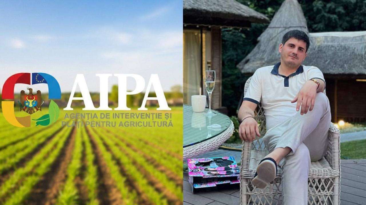 Șeful de direcție de la AIPA, plasat în arest preventiv de 30 de zile - agroexpert.md