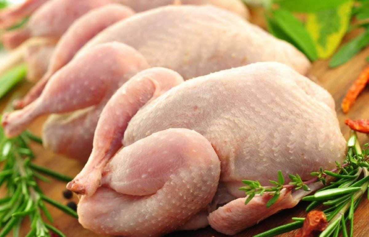 Аргентина вернется на европейский рынок с птицеводческой продукцией - agroexpert.md