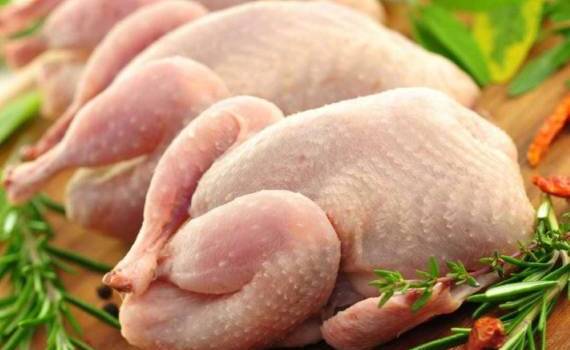 Аргентина вернется на европейский рынок с птицеводческой продукцией - agroexpert.md
