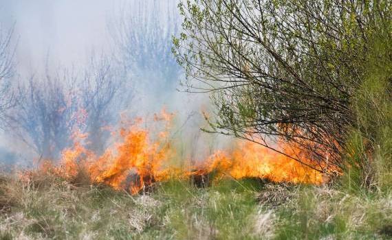 Pericol de incendiu în Republica Moldova. Perioada vizată de meteorologi - agroexpert.md