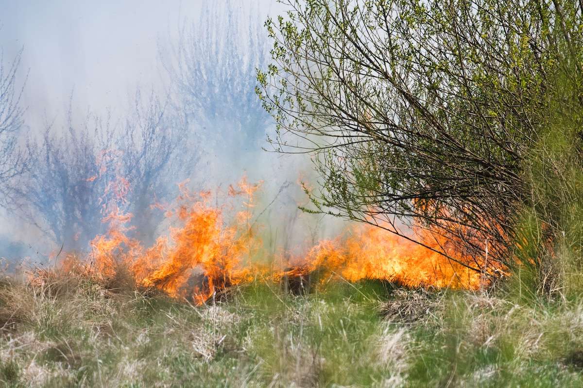 Pericol de incendiu în Republica Moldova. Perioada vizată de meteorologi - agroexpert.md