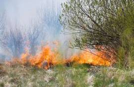 Pericol de incendiu în Republica Moldova. Perioada vizată de meteorologi - agroexpert.md