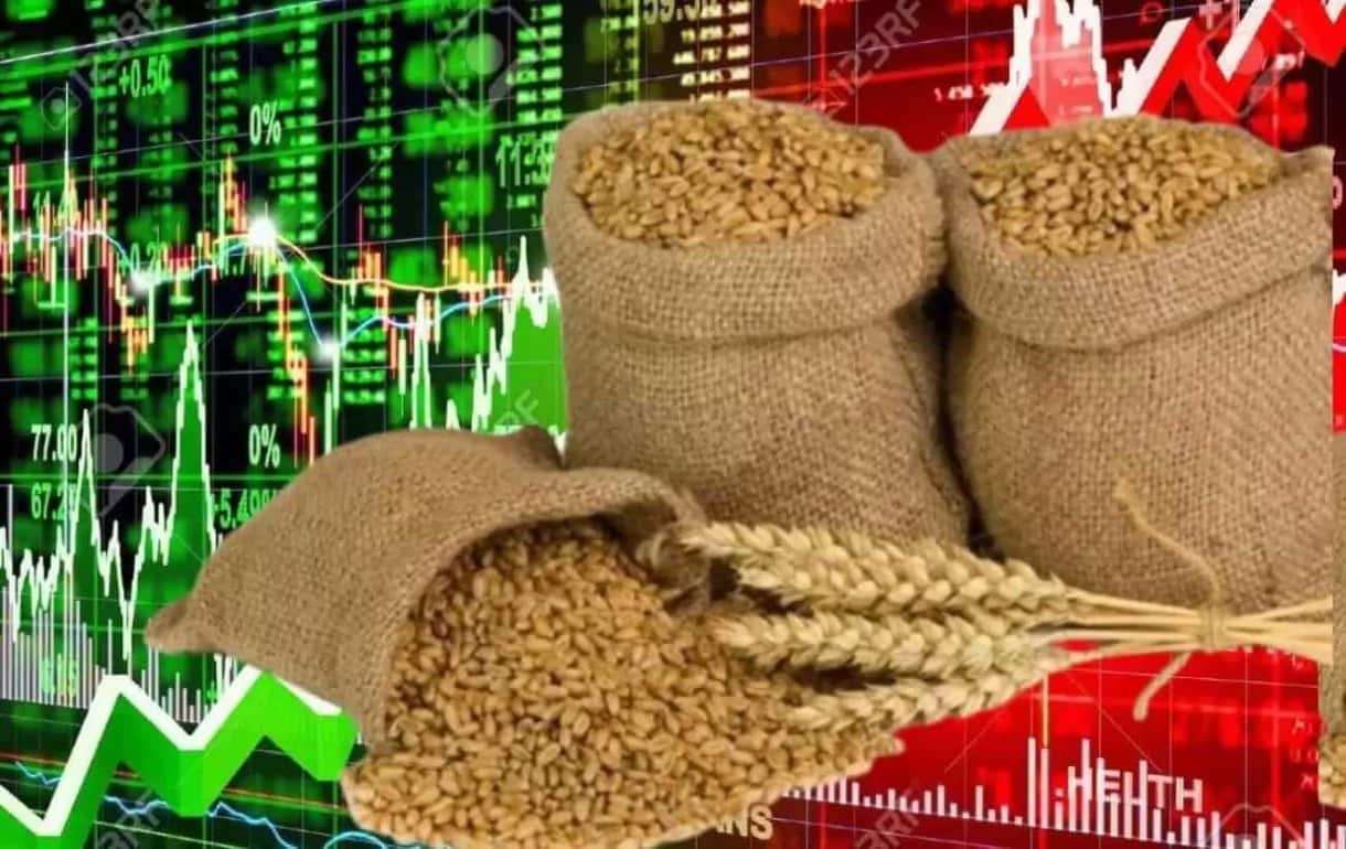 Цены на пшеницу выросли на основных биржах в Америке и Европе - agroexpert.md
