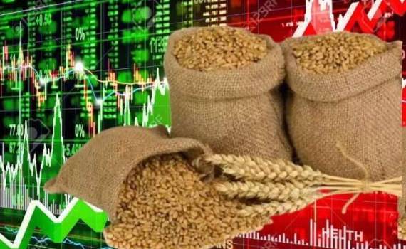 Цены на пшеницу выросли на основных биржах в Америке и Европе - agroexpert.md