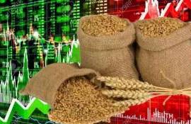 Цены на пшеницу выросли на основных биржах в Америке и Европе - agroexpert.md