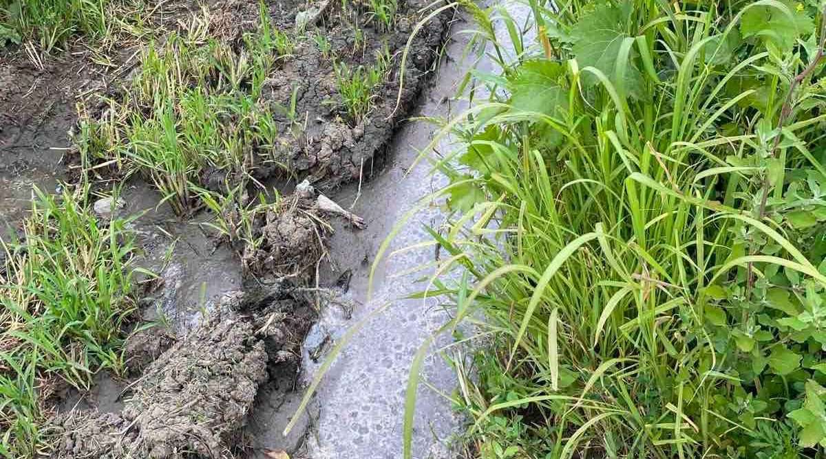 Control inopinat la „Ferma cu Origini”, după o sesizare de poluare a solului - agroexpert.md