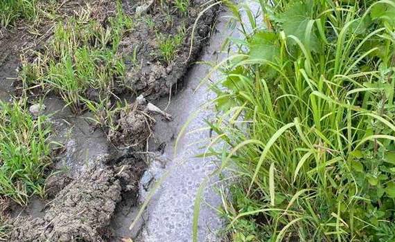 Control inopinat la „Ferma cu Origini”, după o sesizare de poluare a solului - agroexpert.md