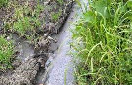 Control inopinat la „Ferma cu Origini”, după o sesizare de poluare a solului - agroexpert.md